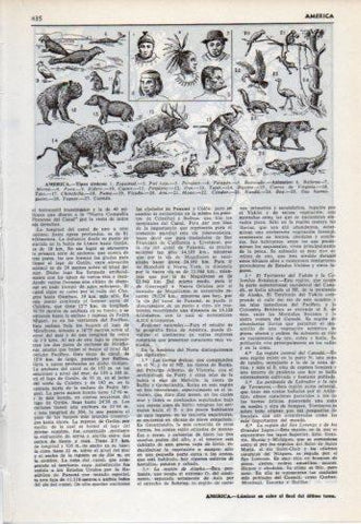LAMINA V38213: America tipos etnicos y animales