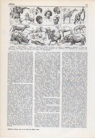 LAMINA V38204: Africa tipos etnicos y animales