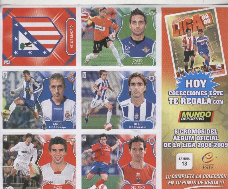 Liga 2008-2009: lamina 13