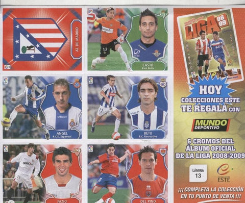 Liga 2008-2009: lamina 13