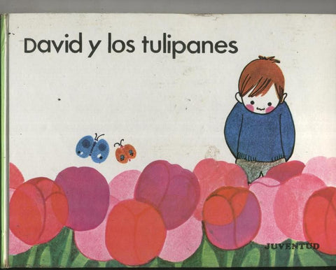 David y los tulipanes