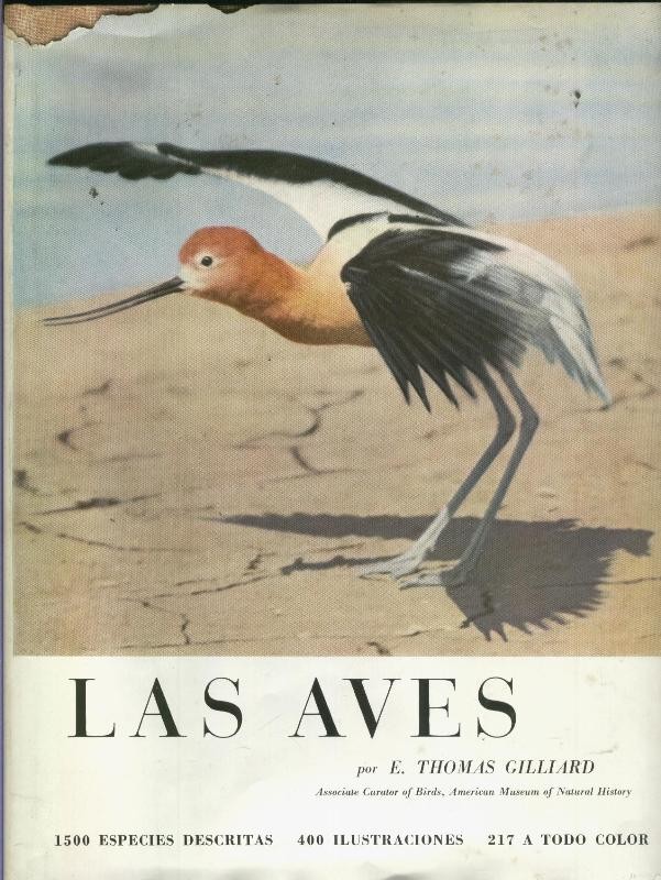 El mundo de la naturaleza: Las aves