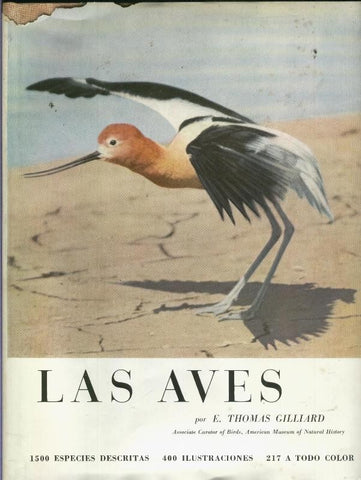 El mundo de la naturaleza: Las aves
