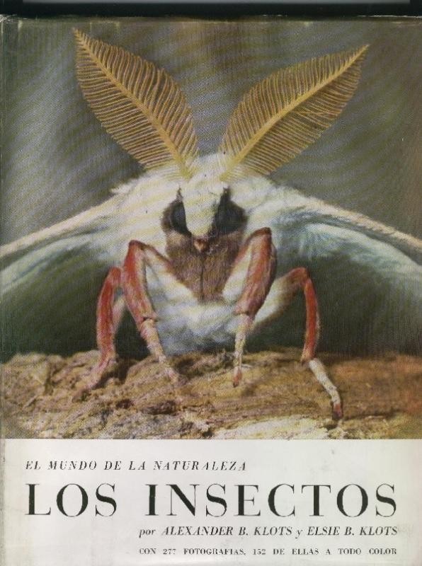 El mundo de la naturaleza:  Los insectos