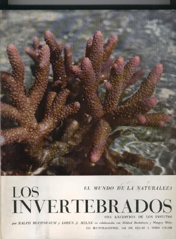 El mundo de la naturaleza: Los invertebrados, con excepcion de los insectos