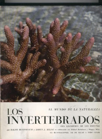 El mundo de la naturaleza: Los invertebrados, con excepcion de los insectos