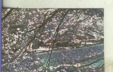 Cromo: Tierras Lejanas de Nestle numero 100