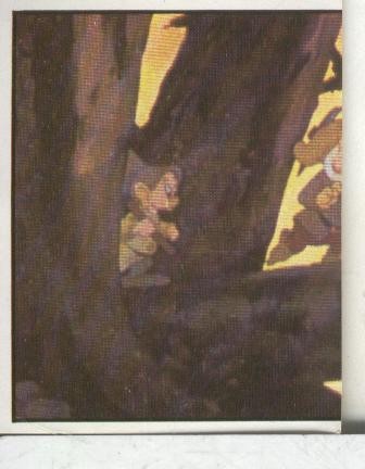 Cromos: Blancanieves y los 7 enanitos numero 114