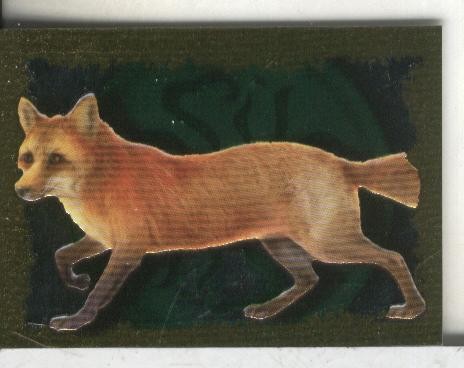 Cromos: Narnia letra N