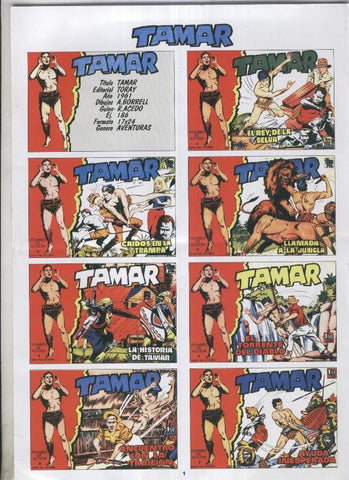 Lamina ficha de Tamar
