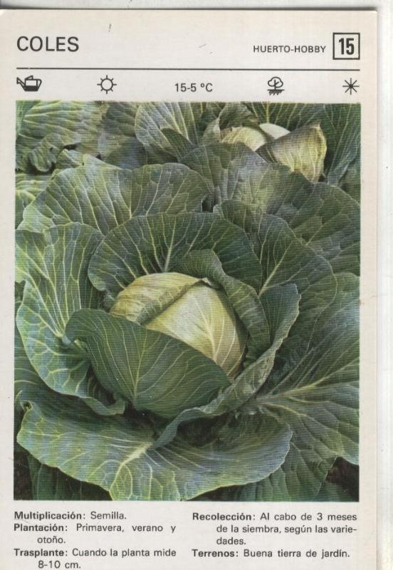 Postal-Ficha Jardineria Huerto-Hobby numero 15: Coles