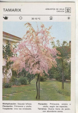 Postal-Ficha Jardineria numero 32: Tamarix
