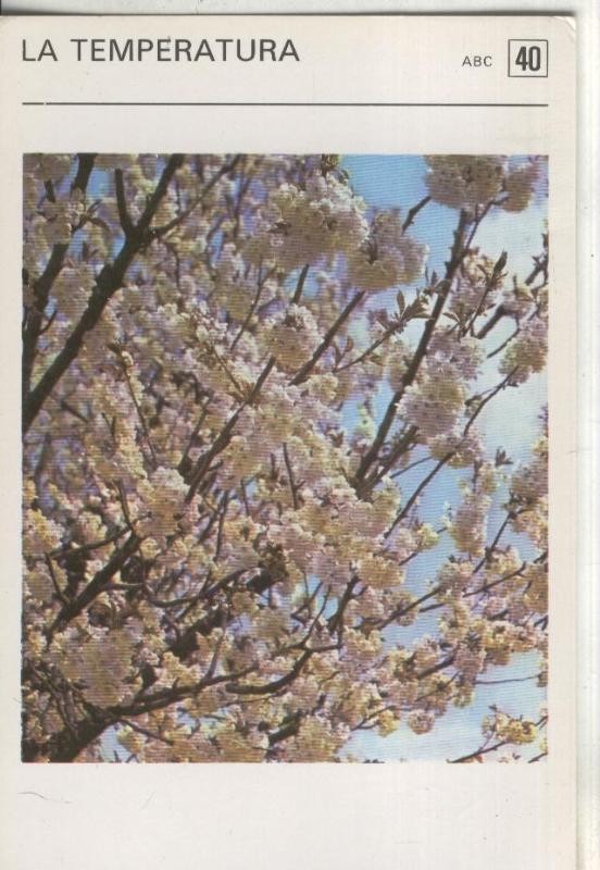 Postal-Ficha Jardineria numero 40: la temperatura