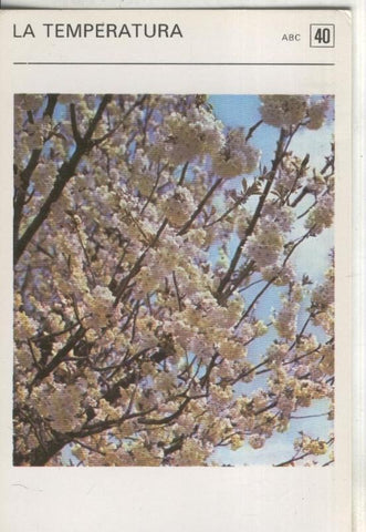 Postal-Ficha Jardineria numero 40: la temperatura