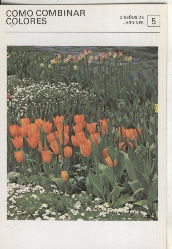 Postal-Ficha Jardineria numero 05: como combinar colores