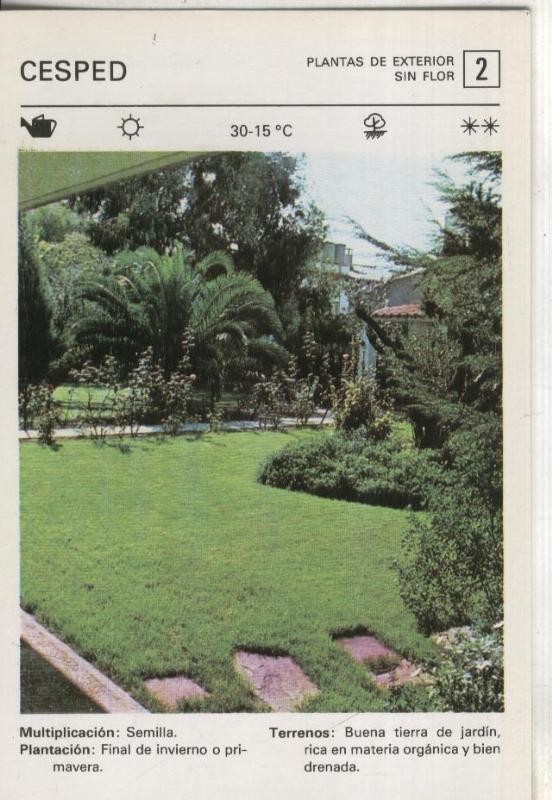 Postal-Ficha Jardineria numero 02: Cesped