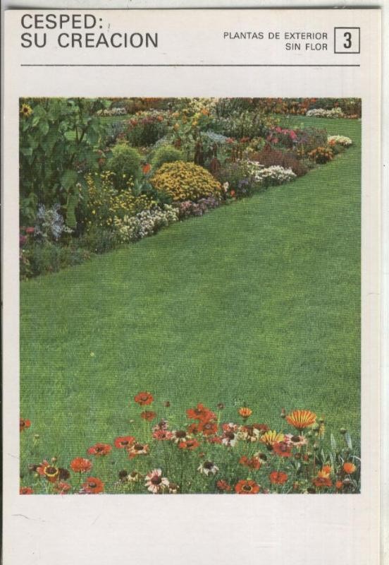Postal-Ficha Jardineria numero 3: Cesped: su creacion