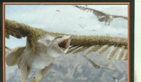 Cromos: Narnia numero 120