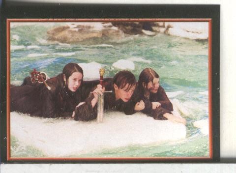 Cromos: Narnia numero 084