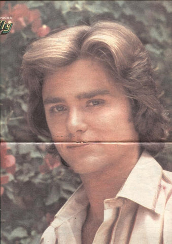 Lily numero 1048: poster central 26,5 x 37 cm de Greg Evigan (Billi Joe y su mono)