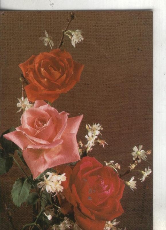 Postal:: Flores
