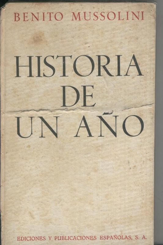 Historia de un año