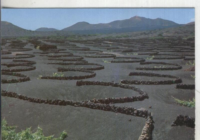 Postal: Lanzarote-La Geria