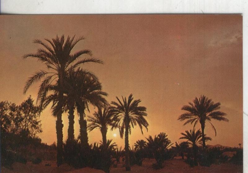 Postal: Gran Canaria 