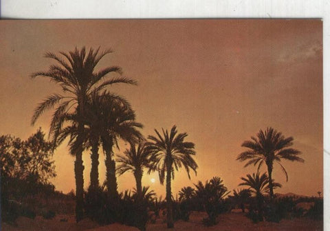 Postal: Gran Canaria 