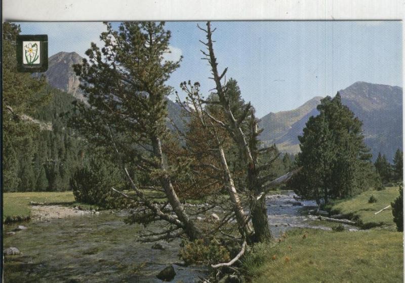 Postal: Paisajes Montañas modelo 35