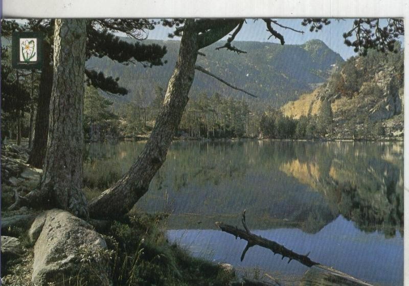 Postal: Paisajes Montañas modelo 39