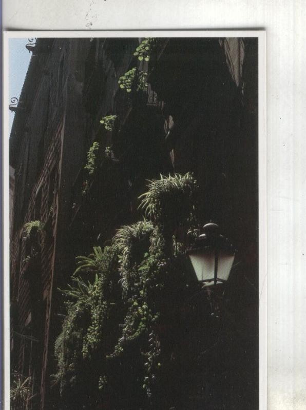 Postal: Barcelona-Casco antiguo
