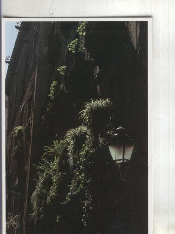 Postal: Barcelona-Casco antiguo