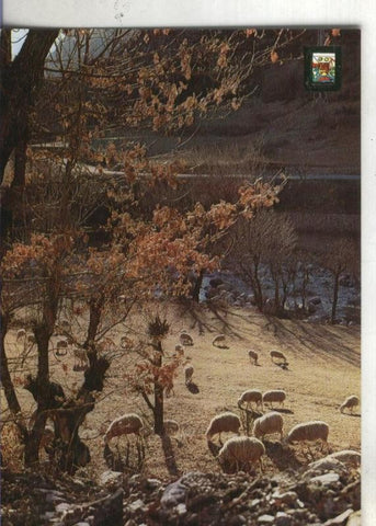 Postal: Lleida-Pirineo catalan: Vall de Aran
