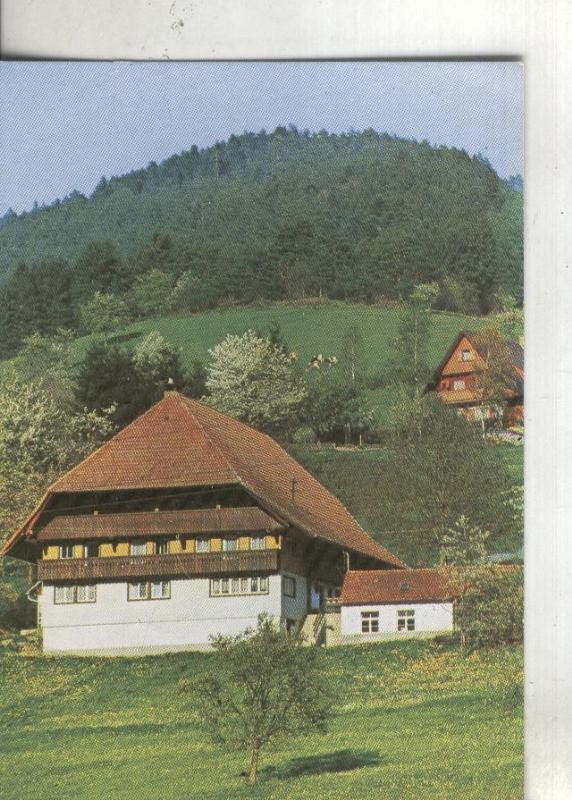 Postal:  Paisaje