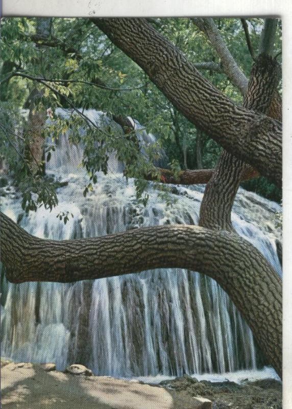 Postal:  Zaragoza: Monasterio de Piedra