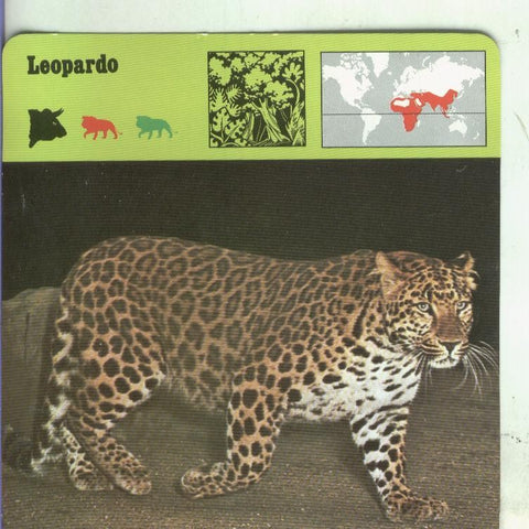 Postal: Ficha Sape Coleccionable: Leopardo
