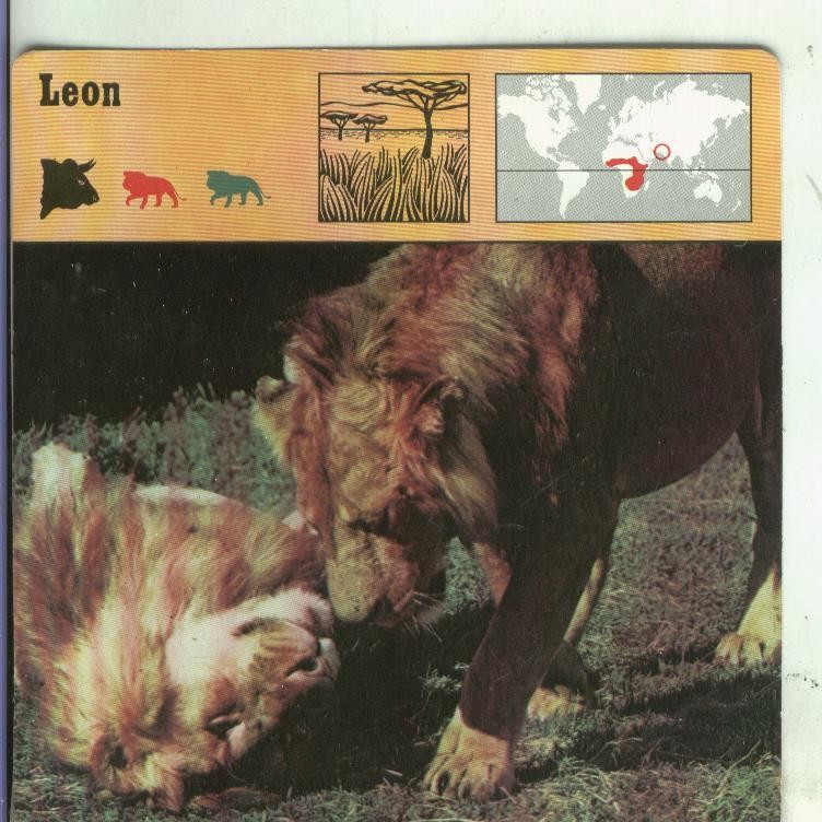 Postal: Ficha Sape Coleccionable: Leon