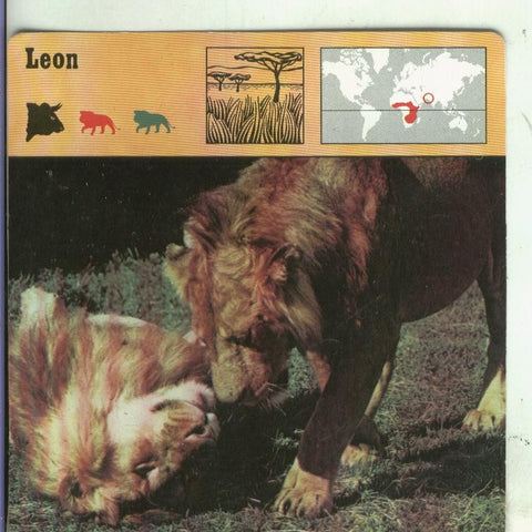 Postal: Ficha Sape Coleccionable: Leon