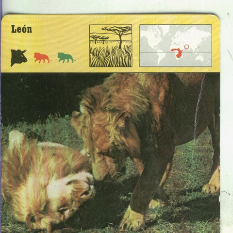 Postal: Ficha Sape Coleccionable: Leon