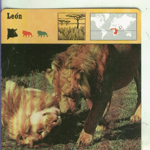 Postal: Ficha Sape Coleccionable: Leon
