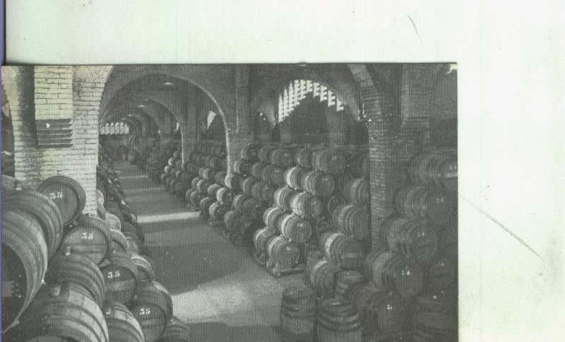 Postal: San Sadurni de Noya-Casa Codorniu