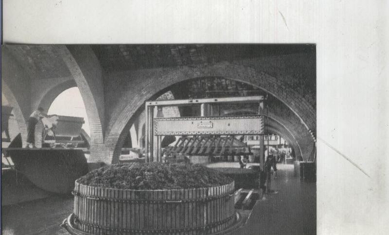 Postal: Barcelona: San Sadurni de Noya: Casa Codorniu