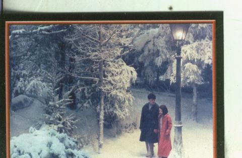 Cromos: Narnia numero 039