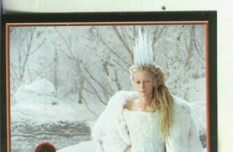 Cromos: Narnia numero 035