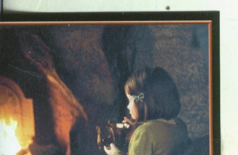 Cromos: Narnia numero 027