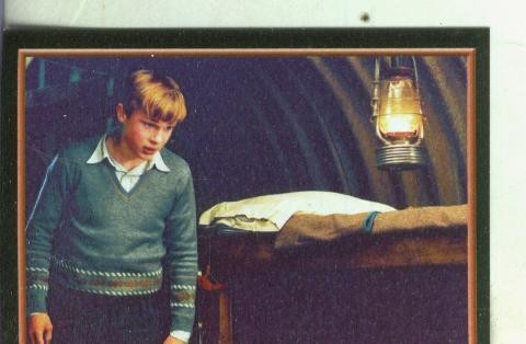 Cromos: Narnia numero 005