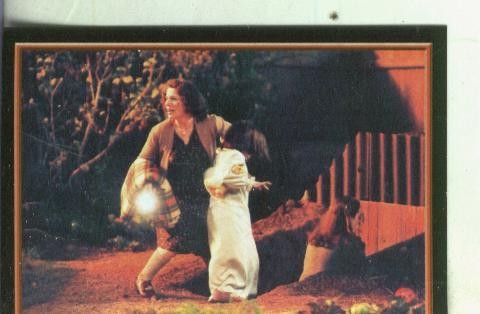 Cromos: Narnia numero 004