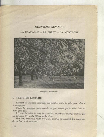 Foto: Bretagne: Pommiers