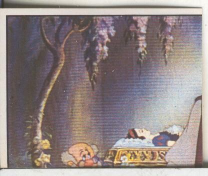Cromos: Blancanieves y los 7 enanitos numero 339